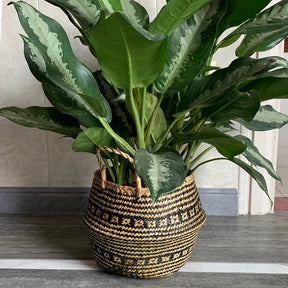 Cesta Artesanal de Vime para Plantas, Estilo Boho, 100% Natural e Ecológica