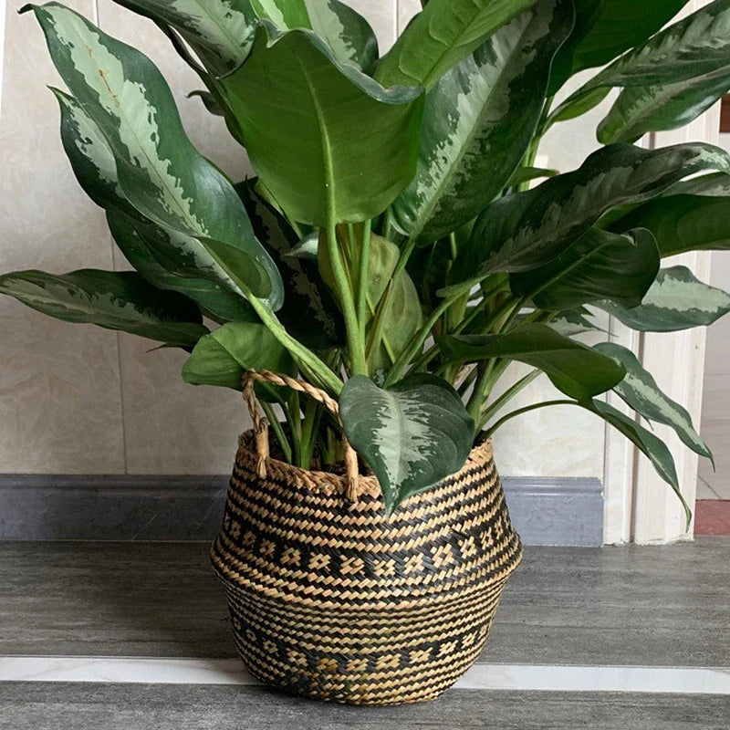 Cesta Artesanal de Vime para Plantas, Estilo Boho, 100% Natural e Ecológica