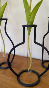 Vaso Minimalista com 2 Hastes de Costela-de-Adão